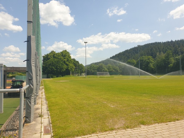 Fußballschule am Möslestadion Platz 2 - Freiburg/Breisgau