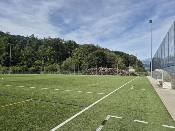 Sportplatz Tiergarten Platz 3 - Mels