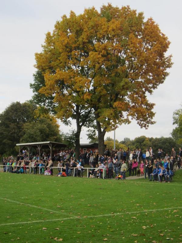 Sportanlage Midlicher Kamp Platz 2 - Dorsten-Wulfen-Barkenberg