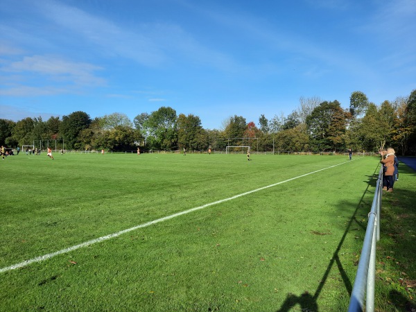 Sportpark De Langeleegte veld 6 - Veendam