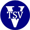 Wappen TSV Vietlübbe 1990  53951