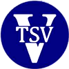 Wappen TSV Vietlübbe 1990