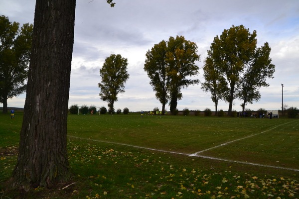 Sportplatz Steinberg - Erxleben/Börde-Klein Bartensleben