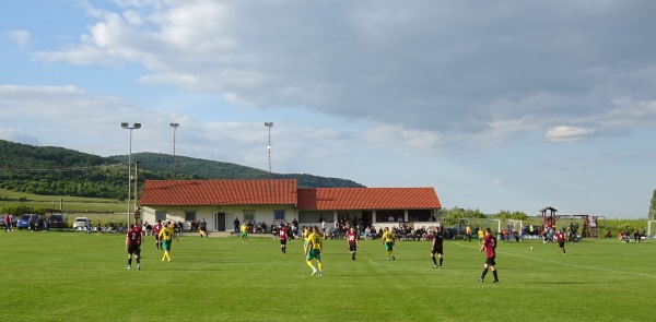 Futbalový ihrisko Doľany - Doľany