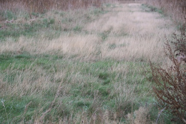 Sportplatz Auf der Heide - Nideggen-Wollersheim