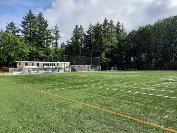 Sportpark 't Cranevelt veld 1 - Arnhem