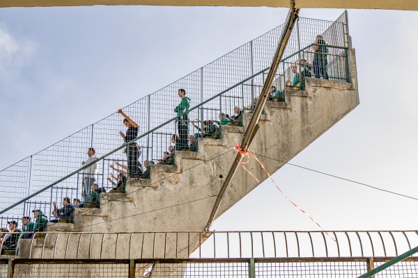 Stadio Partenio - Adriano Lombardi - Avellino