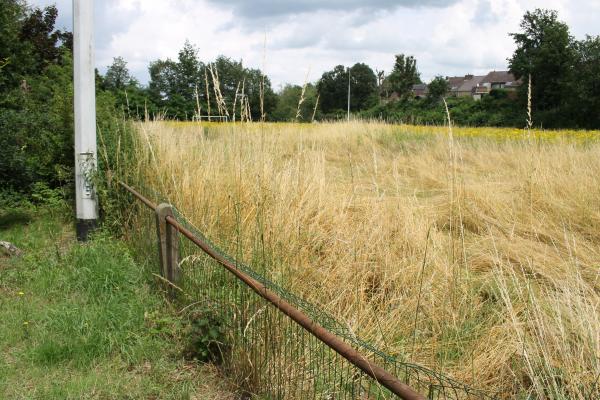 Terrein Zoniënwoudlaan - Beersel