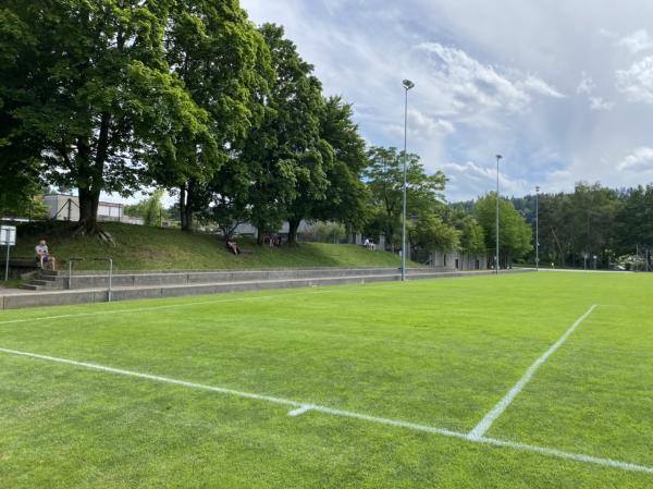 Sportplatz Steinacker - Winterthur