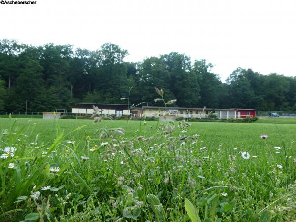 Sportanlage Holzwiese - Marktheidenfeld-Altfeld