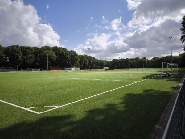 Sportpark De Wijchert veld 2 - Wijchen