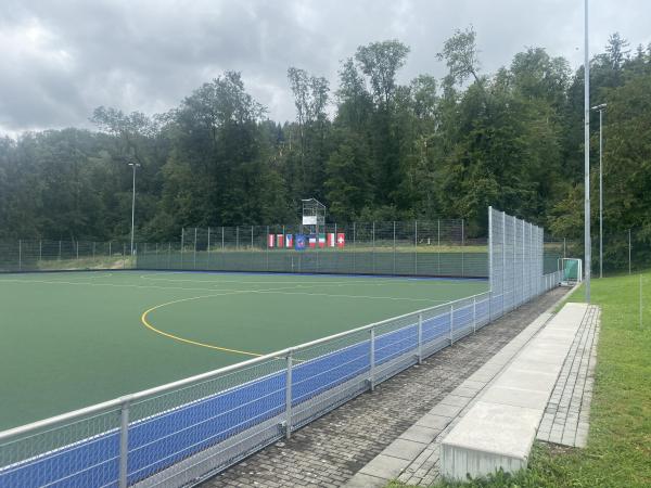 Sportanlage Buchlern Platz 7 - Zürich