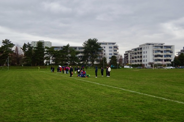 Terrains de la Plaine terrain 2 - Chavannes-Renens