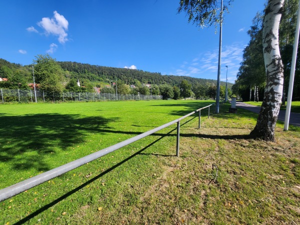 Sportanlage Bieringen Platz 2 - Rottenburg/Neckar-Bieringen