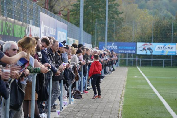 Sportanlage an den Talwiesen Fußballplatz 2 - Rielasingen-Worblingen