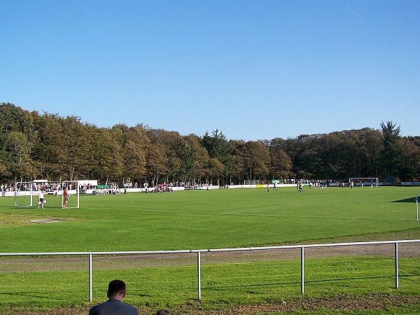 DS Arena - Hobro