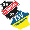 Wappen SG Ilmetal/Dassensen II (Ground B)  123773