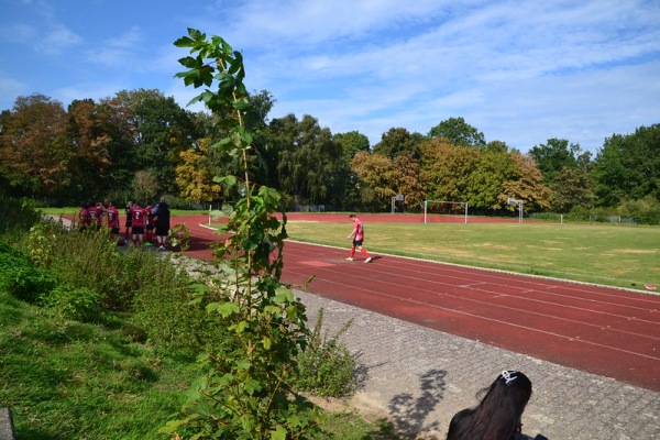 Sportanlage im Stadtpark - Salzgitter-Lebenstedt