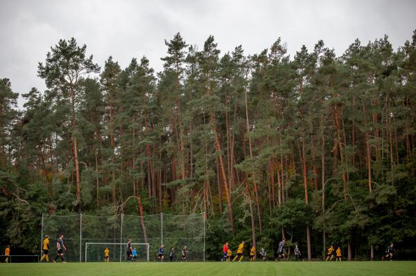 Sportanlage Zuckermandelweg Platz 2 - Roßtal-Raitersaich