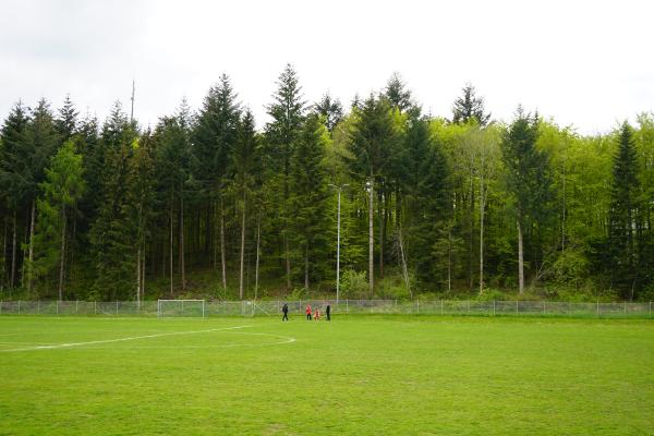 Waldheimplatz - Albstadt-Ebingen