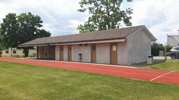 Sportplatz Schlafapfelbaum - Eglisau