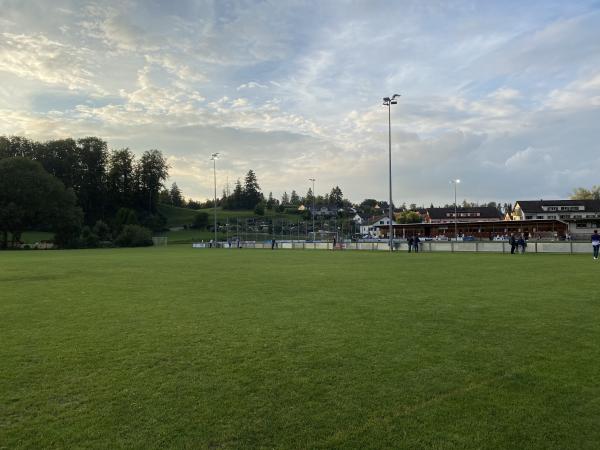 Sportplatz Schützenwiese Platz 2 - Rüti ZH