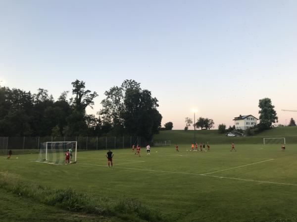 Sportplatz Dammweg - Goldach