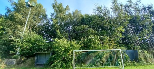 Osterdeichstadion B-Platz - Peissen/Holstein