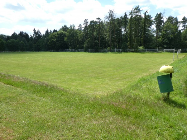 Boisko w Olszanicach obok - Zagrodno-Olszanica