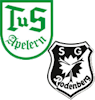 Wappen SG Apelern II / Rodenberg II (Ground B)