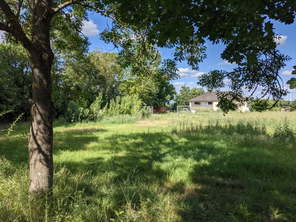 Sportplatz Dittelsheim - Dittelsheim-Heßloch