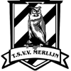 Wappen TSVV Merlijn (Tilburgse Studenten Voetbalvereniging)