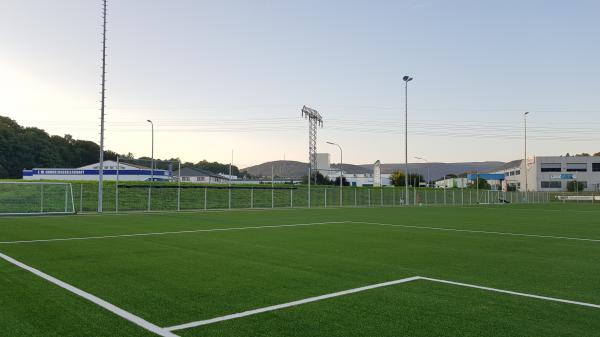 Menz Arena - Steinbach-Hallenberg-Herges-Hallenberg