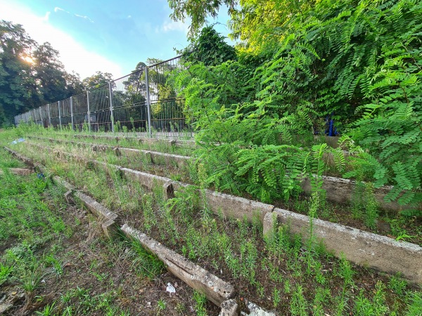 Sportplatz Kienfichten - Dessau-Roßlau