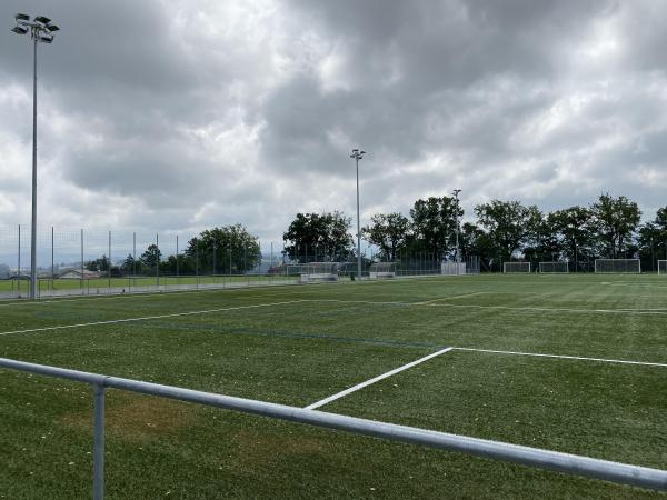 Stade du Guintzet terrain synthétique - Fribourg
