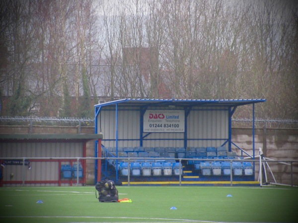 Cae-y-Castell Stadium - Y Fflint (Flint), FLN