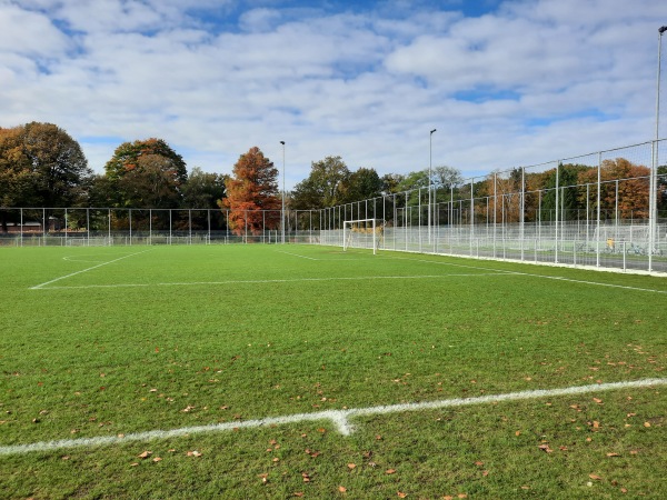 Sportpark De Langeleegte veld 3 - Veendam