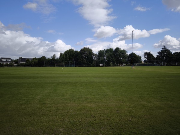 Sportpark Noord veld 5 - Wijchen