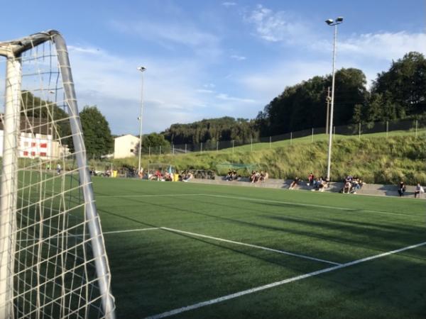 VTAG-Arena Platz 2 - Flawil