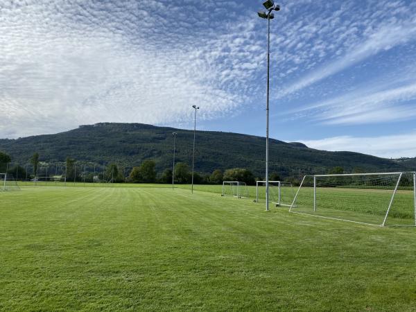 Sportplatz St. Peter Nebenplatz - Kestenholz