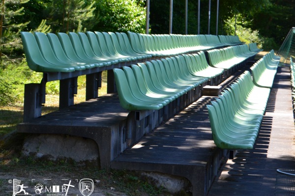 Kopp-Tours-Arena - Mörfelden-Walldorf