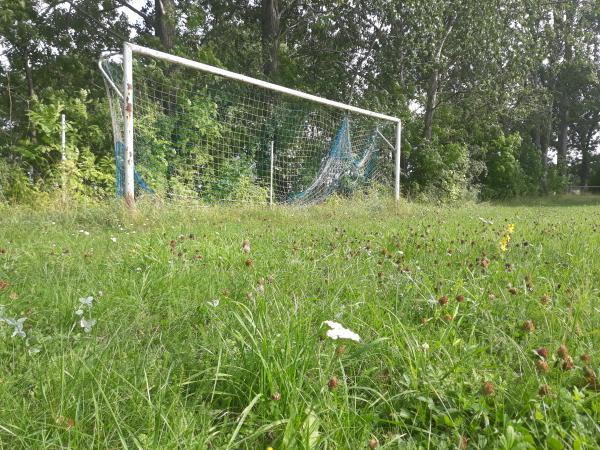 Sportanlage Am Baumgarten Platz 2 - Hecklingen-Schneidlingen 