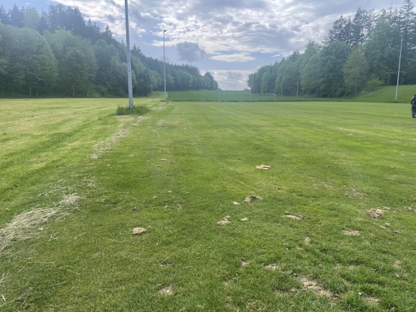 Sportplatz Birkenstaude 2 - Stockach-Hoppetenzell