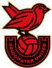 Wappen Bridgwater United FC  84372