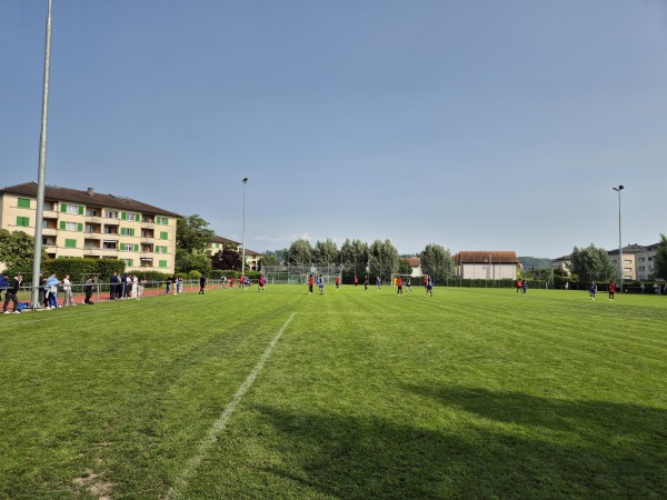 Terrain des Iles - Yverdon-les-Bains