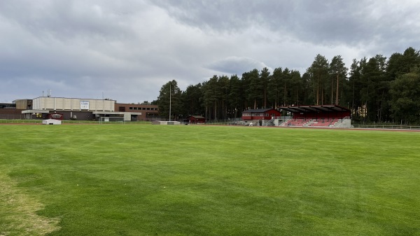 Øverlands Minde gress - Stjørdal