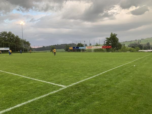 Sportplatz Löösch - Adligenswil