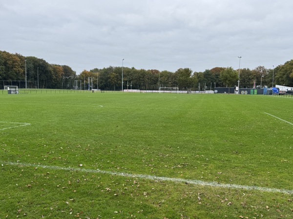 Sportpark Wesselerbrink Midden veld B - Enschede
