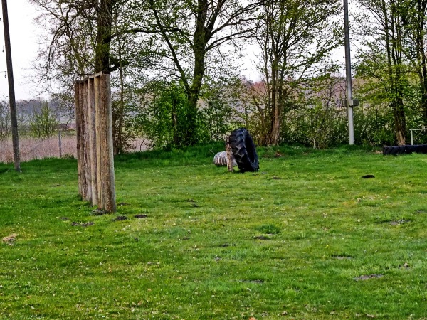 Heubachstadion Nebenplatz - Reken-Maria Veen
