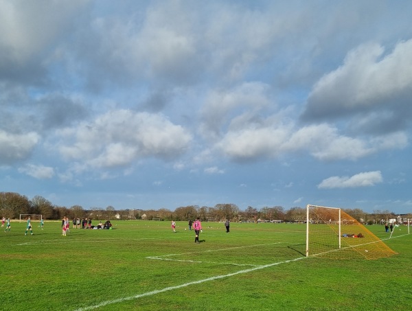 Wanstead Flats Playing Fields pitch 3 - London-Forest Gate, Greater London
